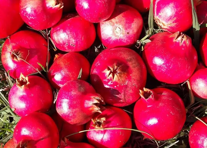 דירה Kallimos ואסיליקי