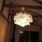 Kallimos * Василики