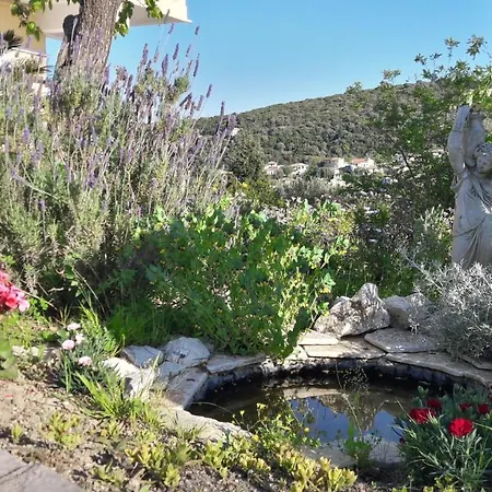 Kallimos アパート