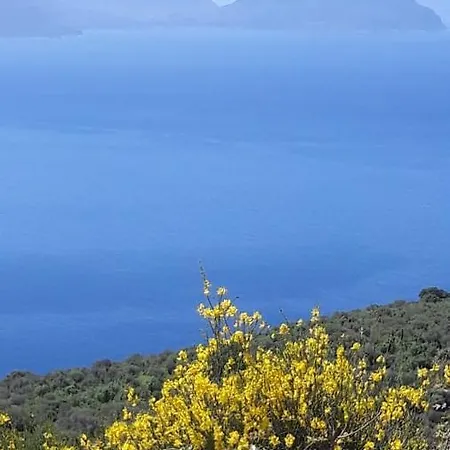 Kallimos Daire Vasiliki