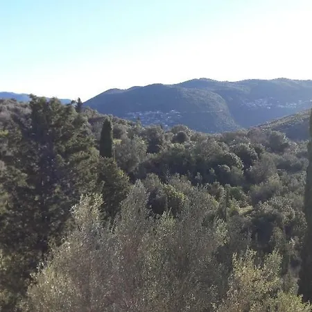 Kallimos アパート ヴァシリキ