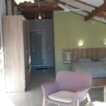 公寓 Kallimos 瓦西利基