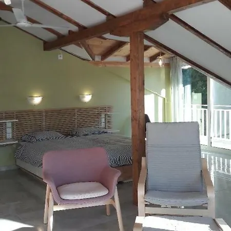 公寓 Kallimos 瓦西利基